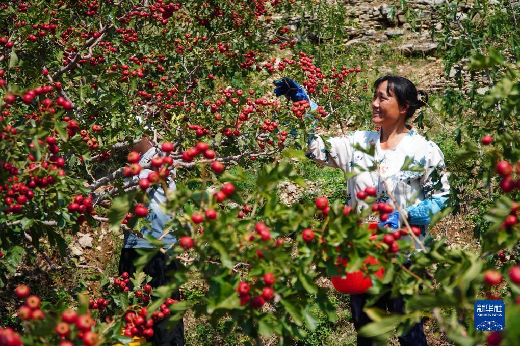 凤凰游戏商城下载